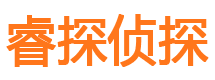 江汉侦探公司